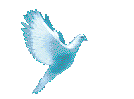 dove.gif
